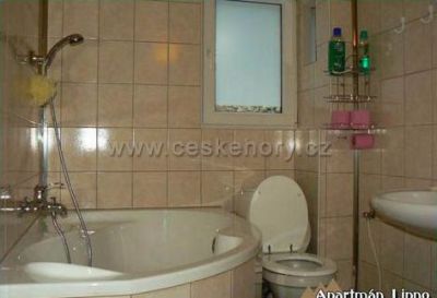 Apartmán Lipno