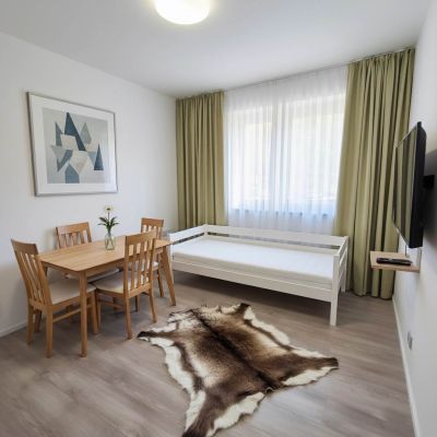 Apartmán Mlýn 208