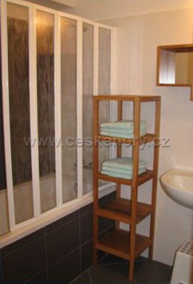 Apartmán NISA - Bedřichov