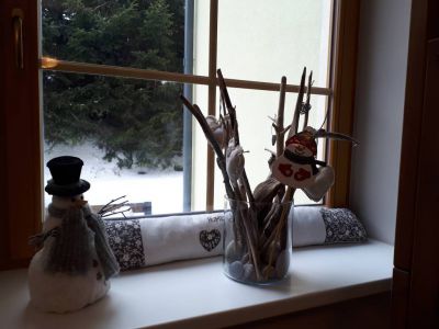 Apartmán NISA - Bedřichov