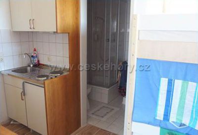 Apartmán U Medvěda na Šumavě