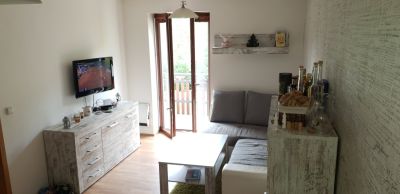 Apartmán 2+1 v Petříkově