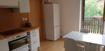 Apartmán 2+1 v Petříkově