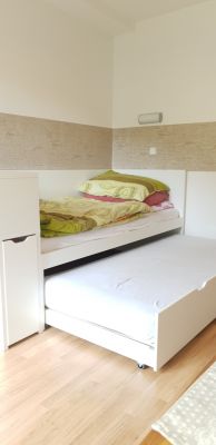 Apartmán 2+1 v Petříkově