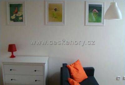 Apartmán Větrný Vrch Dolní Morava