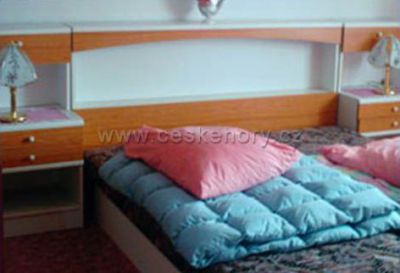 Apartmán Chvalšiny