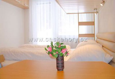 Apartmán v hotelu ActivityPark Všemina