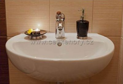 Pec pod Sněžkou Apartmán 105