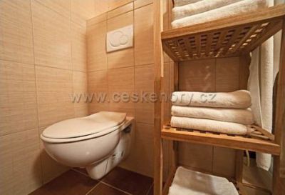 Pec pod Sněžkou Apartmán 105