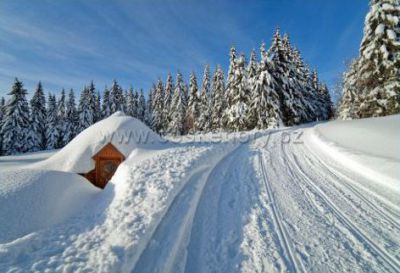 Pec pod Sněžkou Apartmán 105