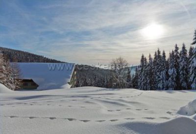 Pec pod Sněžkou Apartmán 105
