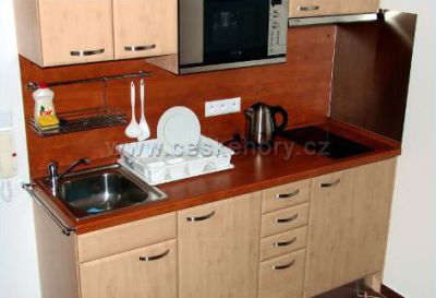 Apartmán 332 pod sjezdovkou Deštné v Orl.horách