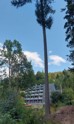 Apartmán Na kraji lesa