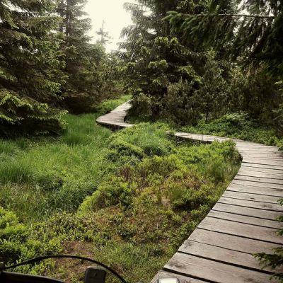 Apartmán Na kraji lesa