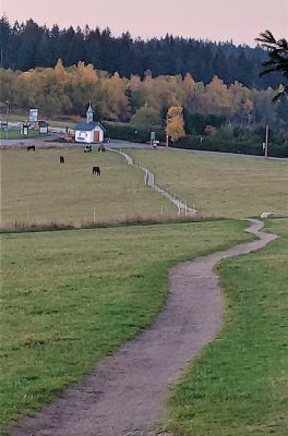 Apartmán Na kraji lesa
