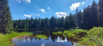 Apartmán Na kraji lesa