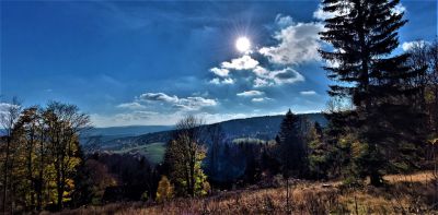 Apartmán Na kraji lesa