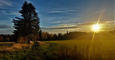 Apartmán Na kraji lesa
