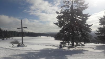 Apartmán Na kraji lesa