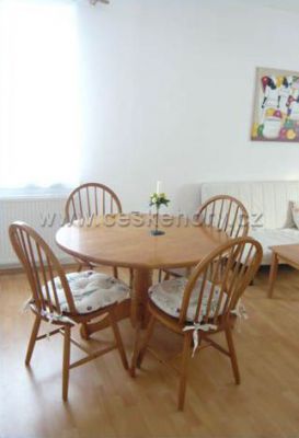 Apartmán ve Zlaté Olešnici