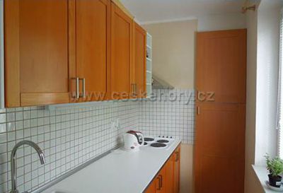 Apartmán ve Zlaté Olešnici