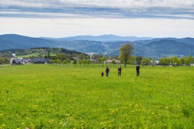 Apartmán Příchovice