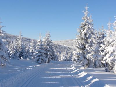 Apartmán Příchovice