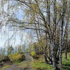 Apartmán Rybná Kraslice