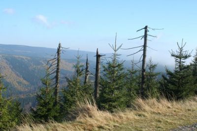 Apartmány Stránský