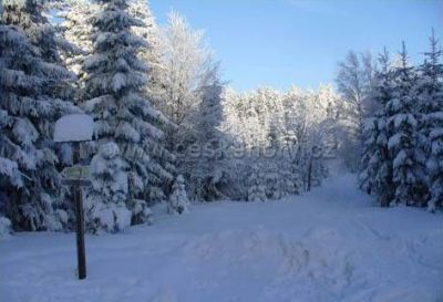 Apartmán u Jarošů