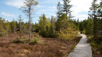 Apartmán u Klínovce