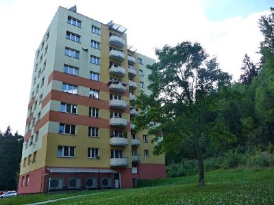 Apartmán u Lipna