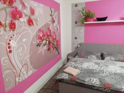 Apartmán U Pařízků