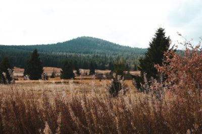 Apartmány Gottesgab