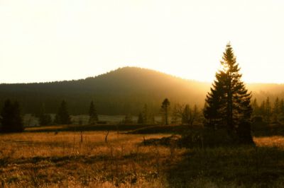 Apartmány Gottesgab