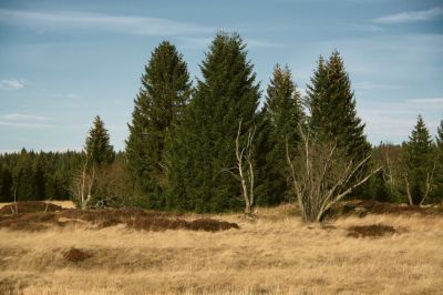 Apartmány Gottesgab