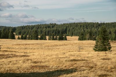 Apartmány Gottesgab