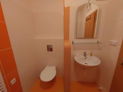 Horské apartmány Horní Lipová