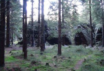 Apartmány Medvěd - Koliba Lupin