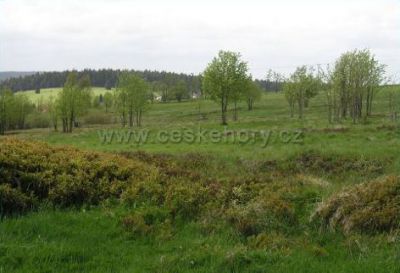 Apartmány Medvěd - Koliba Lupin