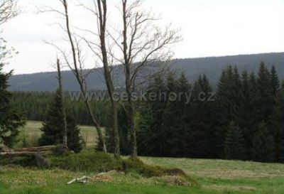 Apartmány Medvěd - Koliba Lupin