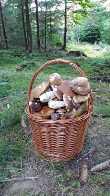 Apartmány Nová Pec