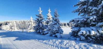 Apartmány Plešivec