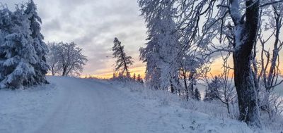 Apartmány Plešivec