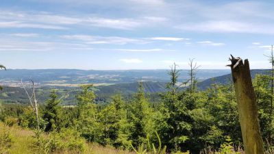 Apartmány Plešivec