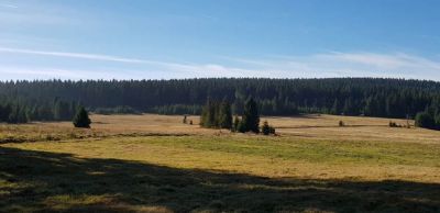 Apartmány Plešivec