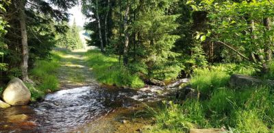 Apartmány Plešivec