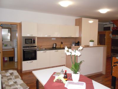 Wellness Apartmány Vlčková