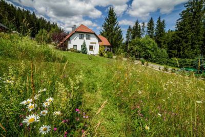 Apartmány Horní Vltavice