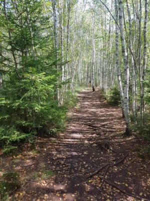 Apartmány Horní Vltavice